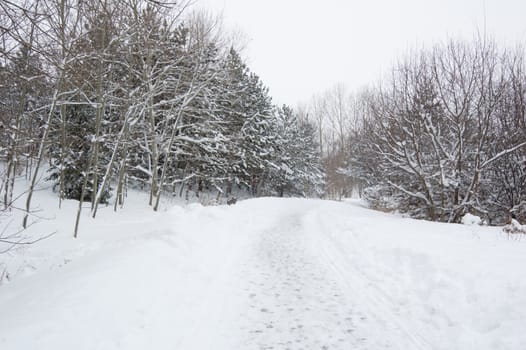 Human footprints on snow path in Toronto park