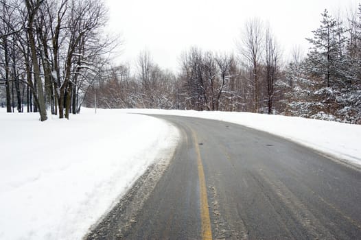 Forest road in snow forest at winter time