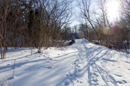 Sunset in Toronto park in winter time