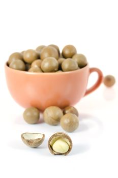 close up shelled  macadamia nut on white background