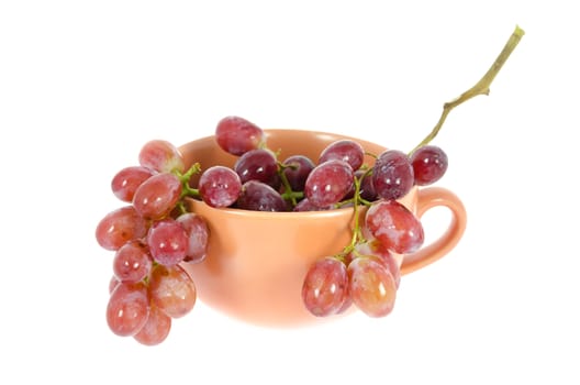  fresh grape  fruits in cup over white background