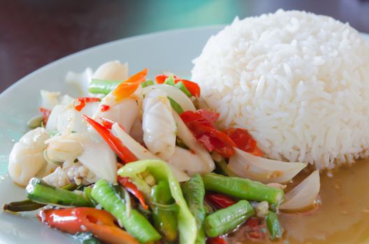 close up squid  fried with chili pepper and mix vegetable served with steamed  rice on dish