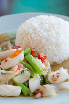 close up  squid  fried with chili pepper ,  mix vegetable served with steamed  rice on dish