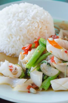 squid  fried with chili pepper ,  mix vegetable served with steamed  rice , asian spicy food