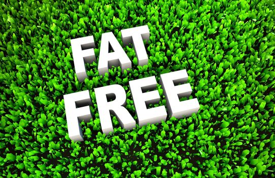 Fat Free and No Fats in Your Food