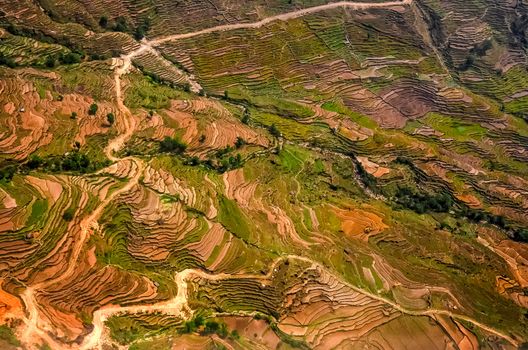 Aerial view of colorful filed terraces with the road