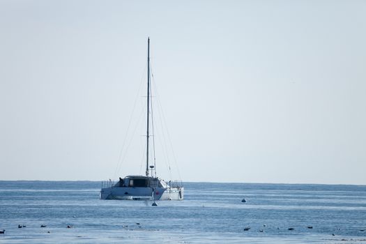 The Sailboat on the Sea