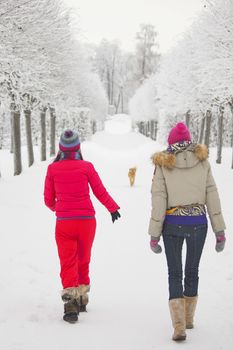 two women walk by winter alley snow trees on background