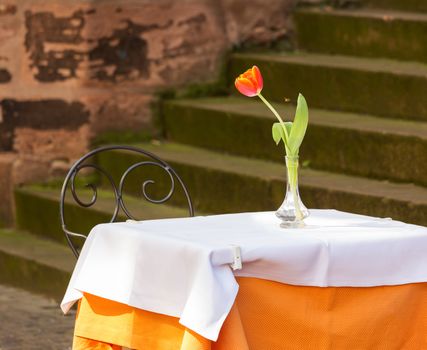 Cafe restaurant table and chair by old stone steps with tulip in old town city of Heidelberg Germany