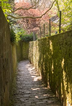 Steep Philosophers walk narrow cobbled path above old town city of Heidelberg Germany