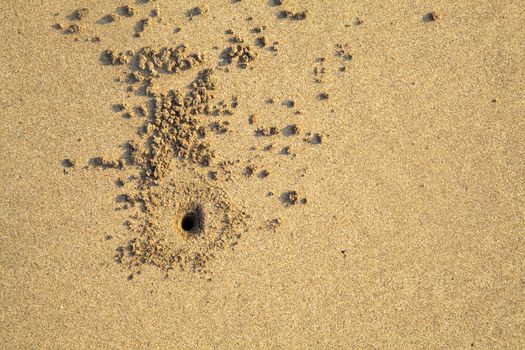 Horizontal landscape but image usable in any orientation, a color capture of Ghost crab hole on a sandy beach in Pondicherry India during low tide