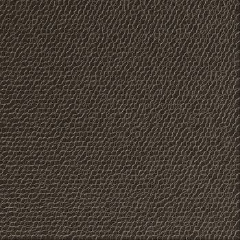 Texture background, leather.