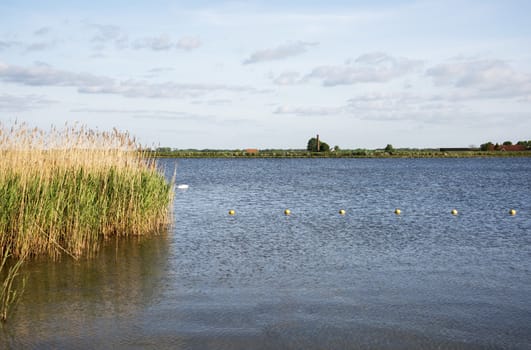 horizon over the dutch landscape with the water nuldernauw