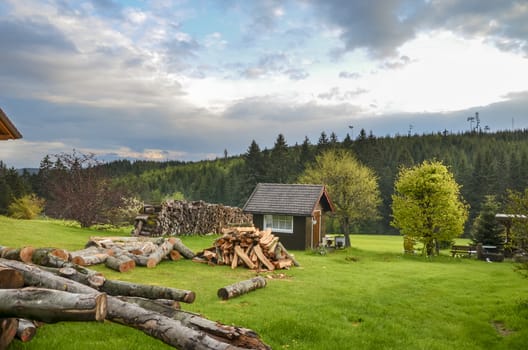 Country wooden house and pile of birch chocks on foreground