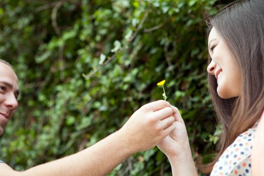 Young happy couple enjoying each others company outdoors.  The man is giving a flower to his love interest.