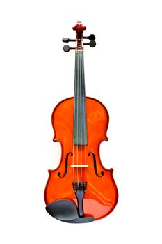 violin isolate on white background