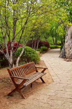 Bench in the park and path through a tree