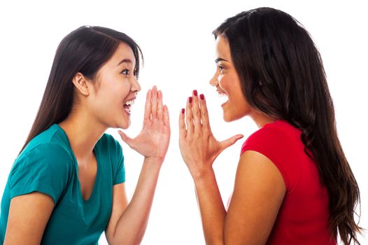 Young girls gossiping and sharing their secrets