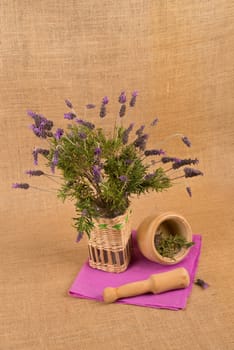 A bunch of freshly picked lavender stalks