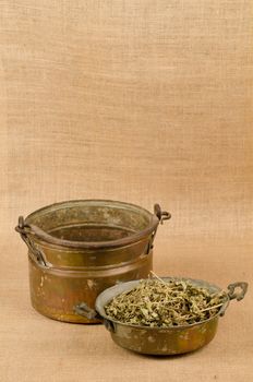 Medicinal herb leaves inside an old pot