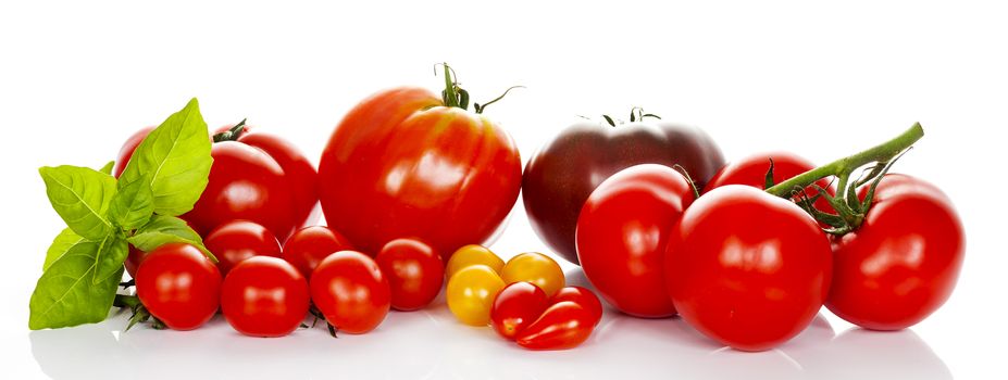 tomatoes with basil isolated on white background 