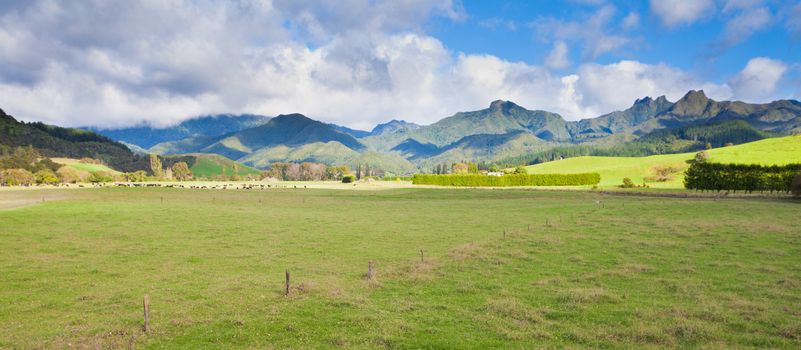 Scenic farmland framed by rugged mountains landscape on Coromandel Peninsula North Island of New Zealand