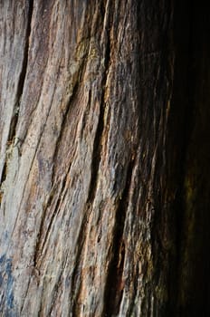 Closeup Wooden