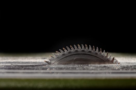 detail of a circular saw for wood