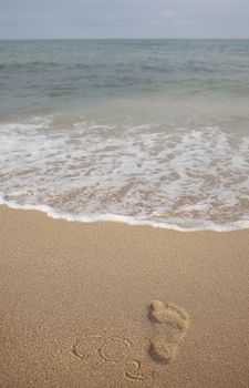 footprint and carbon dioxide imprints on the beach