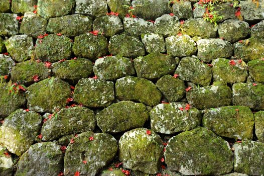 Stone Wall with moss textured