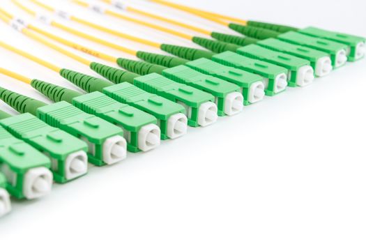 green fiber optic SC connectors on white background