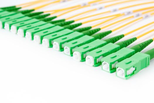 green fiber optic SC connectors on white background