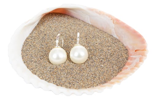 two pearl earrings and sea shells isolated on white