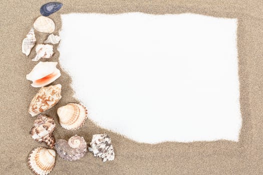 sea shells with sand and white paper as background or backdrop