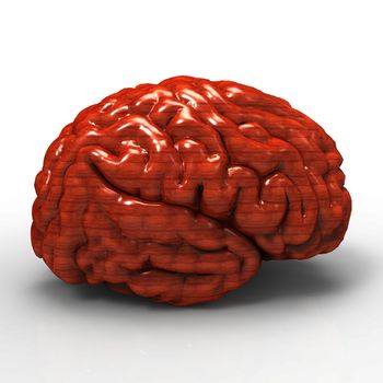 Human brain 3D model, isolated