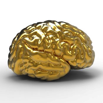 Human brain 3D model, isolated