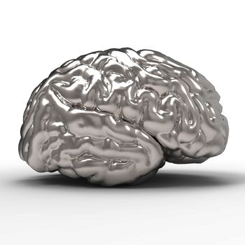 Human brain 3D model, isolated