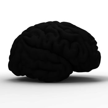 Human brain 3D model, isolated