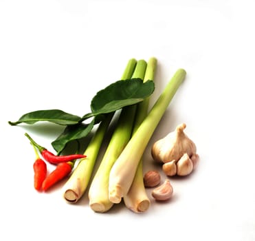 Group of tomyum (Thai food) seasoning ingredients isolated on white background