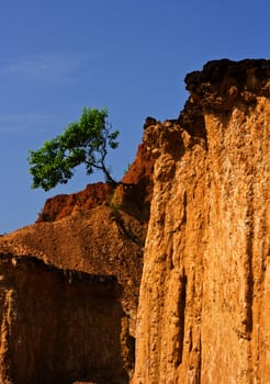 Soil columns in national park, North of Thailand