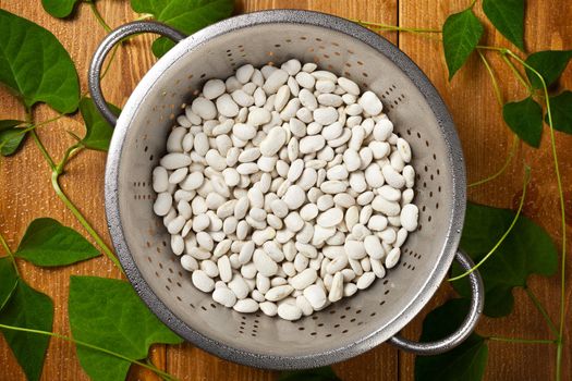 White beans with green leaves and water drops on wooden table. Top view shot