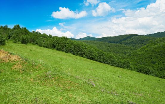 European mountains covered by dense forest in summer