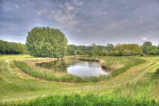 HDR small lake in the nature park lelystad in Holland
