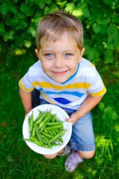 Handsome little boy holding green Peas in garden