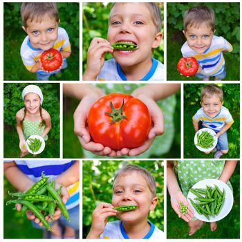 Collage of images kids holding tomato and green Peas in garden