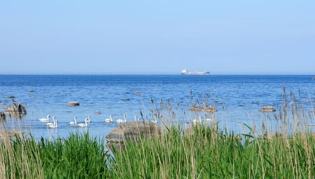 Seacoast on a background of the blue sky