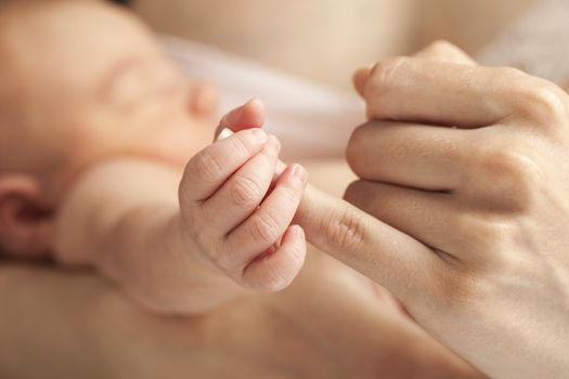 Closeup view of newborn baby holding mother's hand