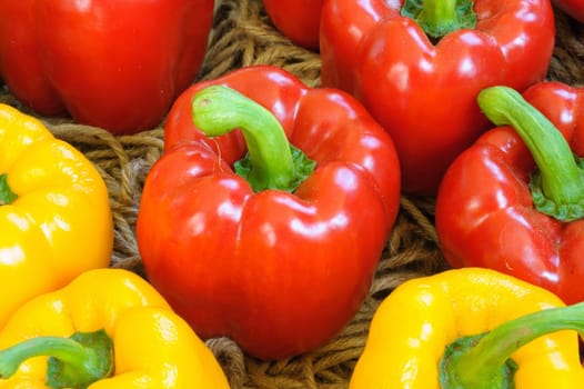 Vivid red and yellow sweet peppers in farms.