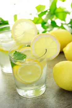 Cold lemon water with fresh lemons with green plants