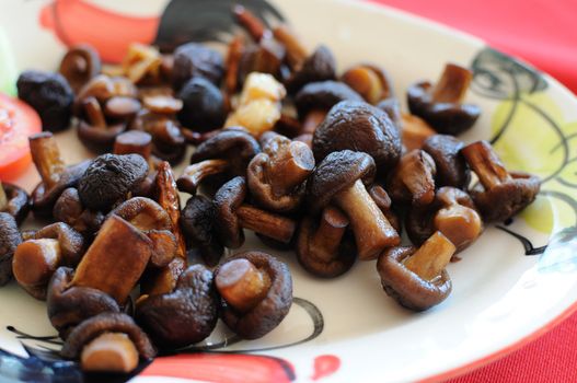 Shiitake Mushrooms